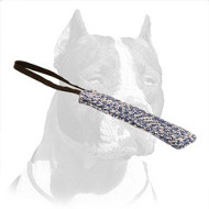 Superb Pitbull Dog Training Bite Tug