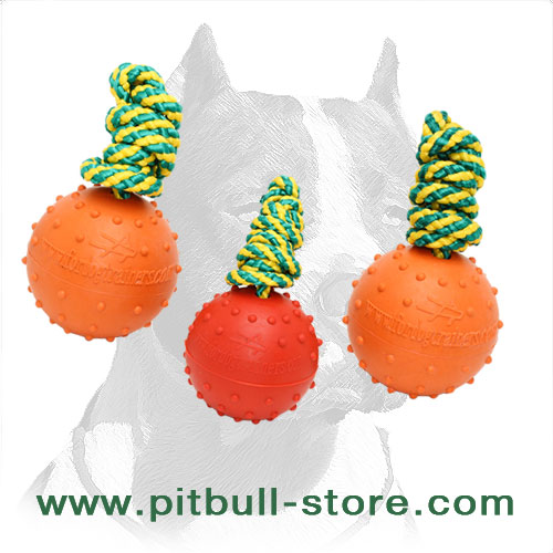 Rubber Pitbull Dog Bite Ball with Dotted Surface BIG
