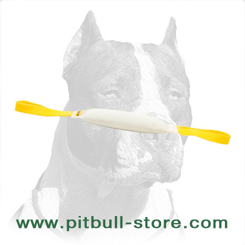Bite training dog tug made of fire hose for Pit Bulls