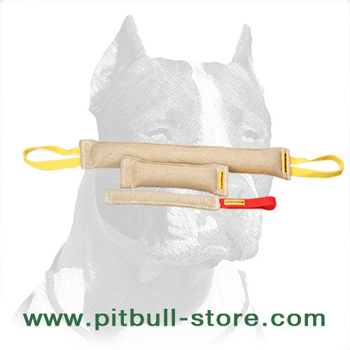 3 tugs for developing Pitbull's grip
