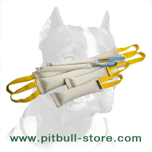 https://www.pitbull-store.com/images/dog-training-equipment-categories-pictures/set-of-dog-training-tugs-made-of-fire-hose-TE69-big.jpg