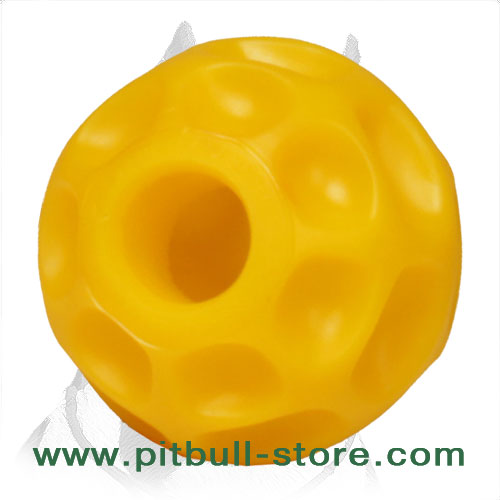 Large-sized treat ball for Pitbulls