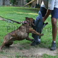 Dog Protection Leg Bite Sleeve with Bar for Pitbull Training
