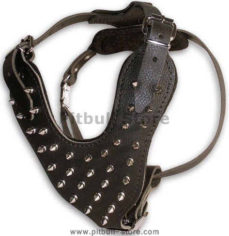 pitbull leather spiked dog harness- deluxe dog harness with spikes