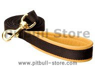Padded Handle Dog Lead (Leash) for Pitbull
