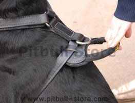 handle for harness