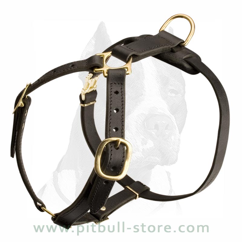 FBH4 - French Bulldog Personalized Military Leather Harness - Pit