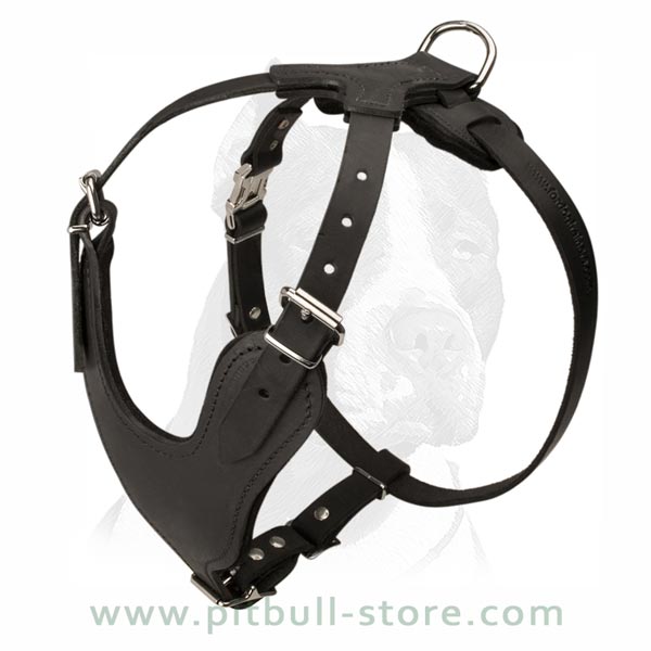 Exclusive Harness with wide Chest Plate