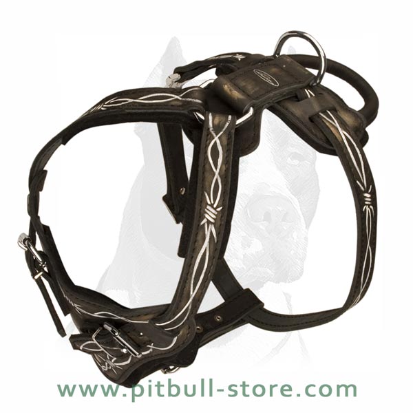 Leather Harness with Felt Padding