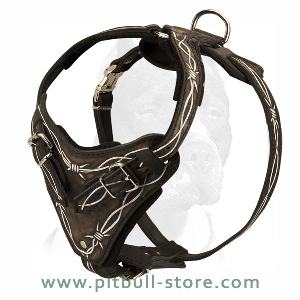 Secure Dog Harness with quick release buckles