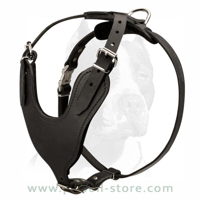 Pitbull Leather Dog Harness for Tracking, Training, Walking