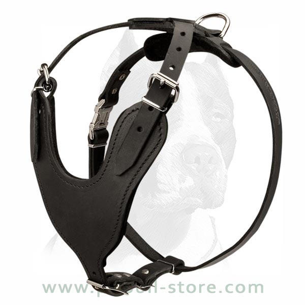 Harness ideal for Attack/Agitation training
