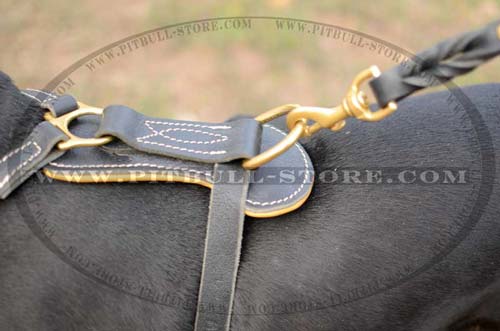 Wide Chest plate for Comfort