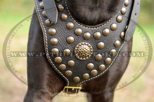Wide chest plate with padding