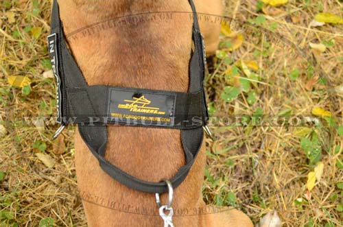 Professional working Dog Harness