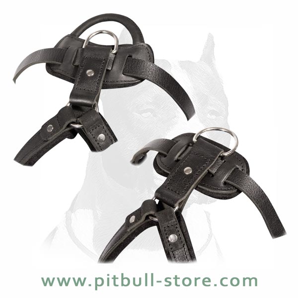 Long life Pitbull Dog Harness