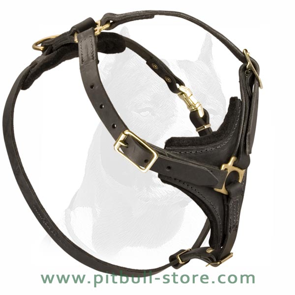 Modern Design Harness for Pitbull