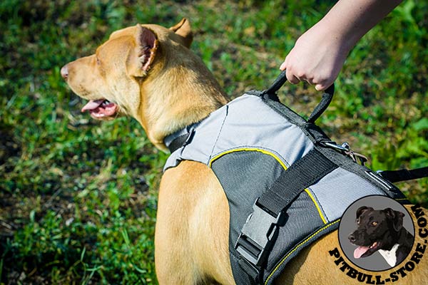 Nylon Pitbull harness for winter warming