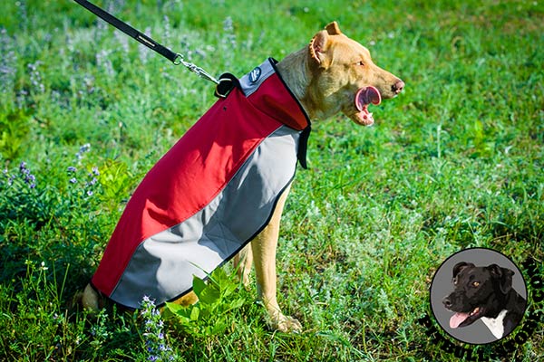 Stylish nylon Pitbull coat for winter season
