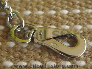 hs couplet dog-leash closeup for Large Breeds