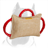 Stitched Pitbull Dog Bite Pillow for Training