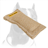 Small-Sized Pitbull Bite Tug for Puppy Training