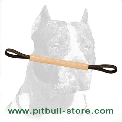 Genuine Leather Pitbull Dog Training Bite Tug