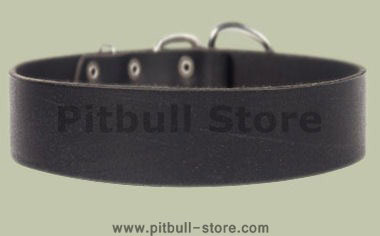Pitbull 2 inch wide Leather Dog Collar for EVERYDAY