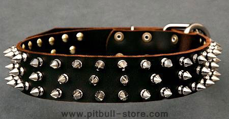 Leather Spiked dog collar - custom dog collar with spikes
