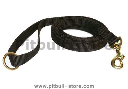 Lightweight 6 Ft Nylon Dog Leash with Ring & Swivel Snap Hook