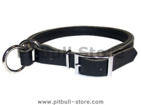 Adjustable Leather Slip Collar for Pitbull