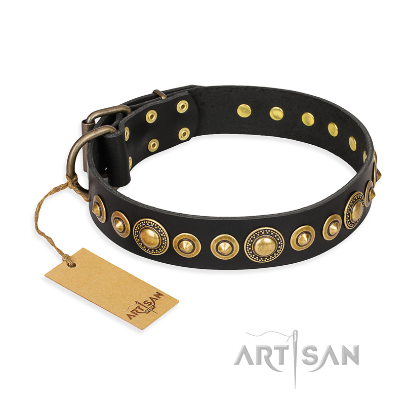 'Gold Mine' FDT Artisan Pitbull Black Leather Dog Collar with Amazing Bronze-Plated Round Studs