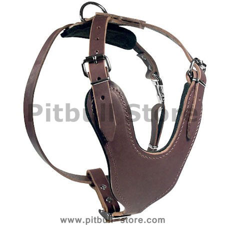 Heavy duty pitbull online harness