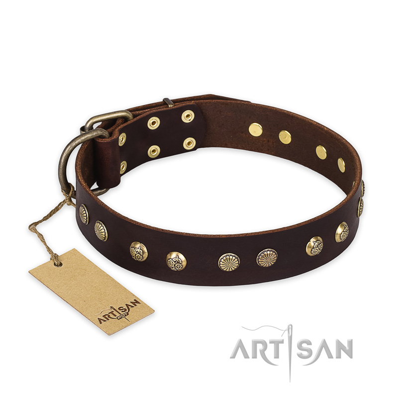 'Bronze Sheen' FDT Artisan Pitbull Brown Leather Dog Collar with Old Bronze-Like Plated Studs - 1 1/2 inch (40 mm) wide
