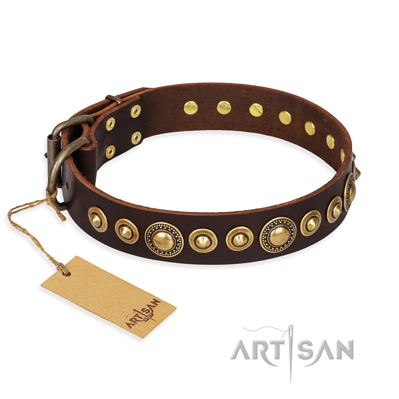 'Ancient Warrior' Pitbull Brown Leather Dog Collar