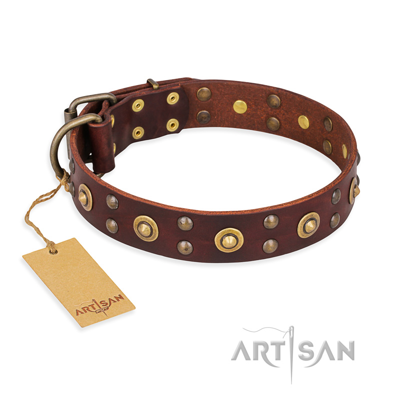 'Caprice of Fashion' FDT Artisan Pitbull Brown Leather Dog Collar with Round Decorations