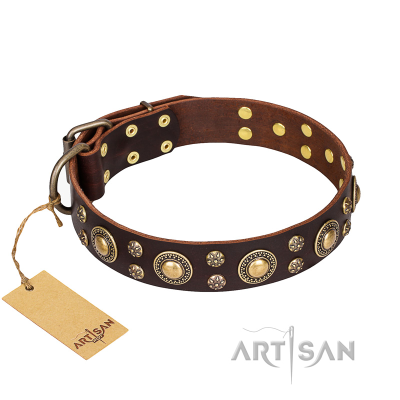 'Flower Melody' FDT Artisan Brown Leather Dog Collar with Mixed Studs