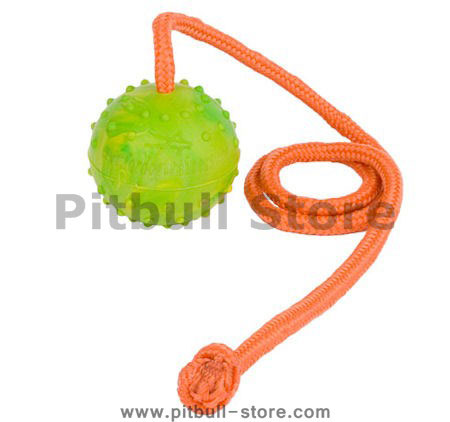 Training DOG BALL on a String-Dog Rubber Ball for Pitbull