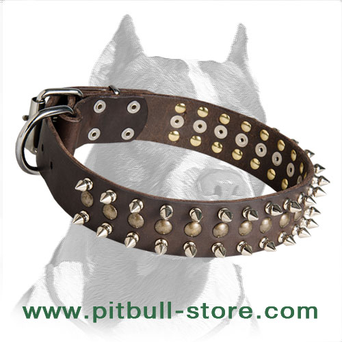 Order Trendy Dog CollarSpiked and Studded Leather Collars