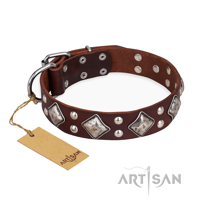 "King of Grace" Brown Natural Leather Pitbull Collar