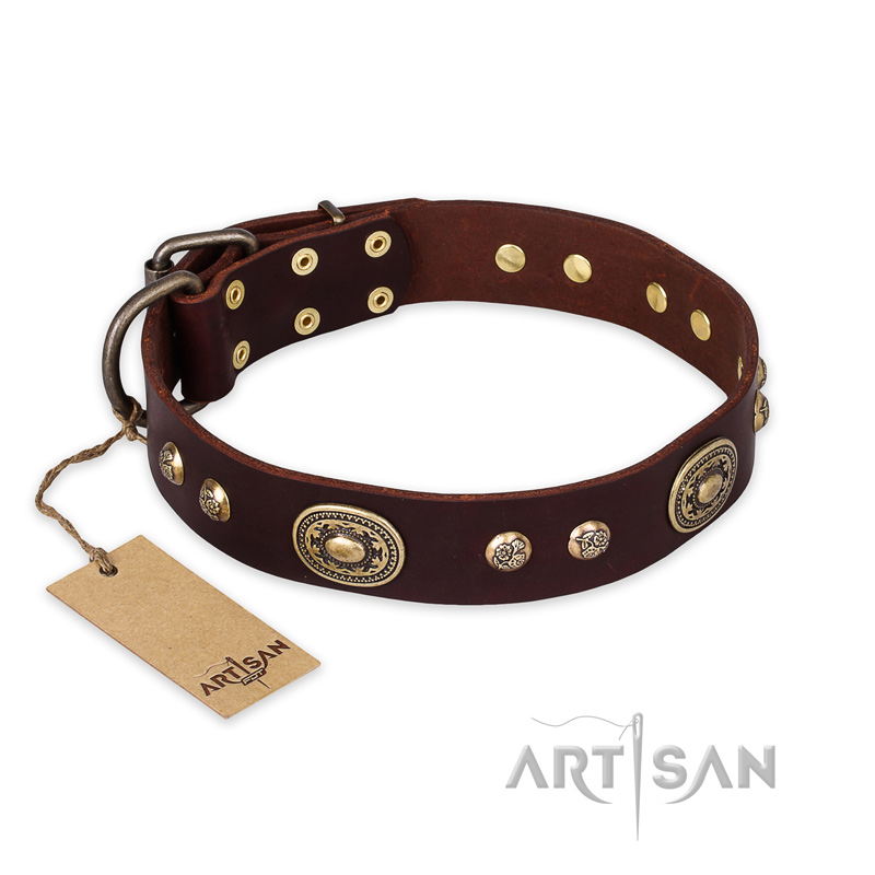 'Breath of Elegance' FDT Artisan Decorated with Plates Brown Leather Pitbull Collar
