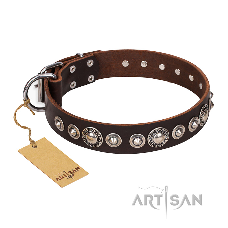 "Step and Sparkle" FDT Artisan Brown Leather Pitbull Collar with Chrome Plated Decor