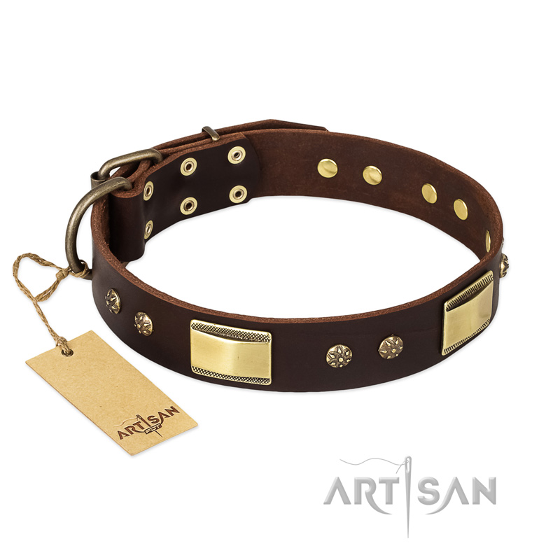 FDT Artisan 'Rich Fashion' Decorated Leather Pitbull Collar with Plates and Studs - 1 1/2 inch (40 mm) wide