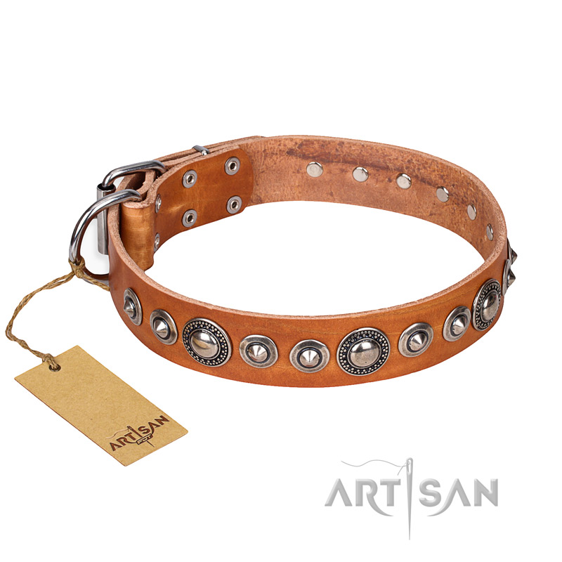 'Daily Chic' FDT Artisan Tan Leather Pitbull Collar with Decorations