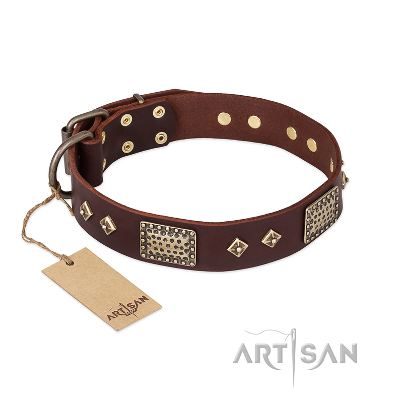 FDT Artisan 'Loving Owner' Decorated Leather Pitbull Dog Collar with Plates and Studs 1 1/2 inch (40 mm)