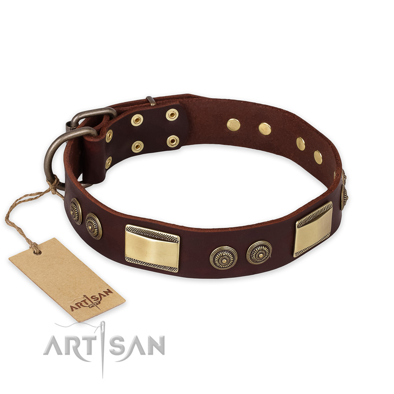 "Golden Stones" FDT Artisan Brown Leather Pitbull Collar with Riveted Plates and Cirlces - 1 1/2 inch (40 mm) wide