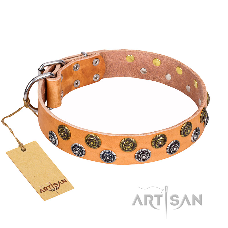 "Precious Sparkle" FDT Artisan Handcrafted Tan Leather Pitbull Collar