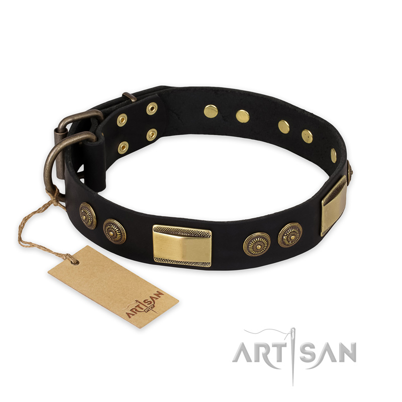"Ancient Egypt" Trendy Design FDT Artisan Black Leather Pitbull Collar