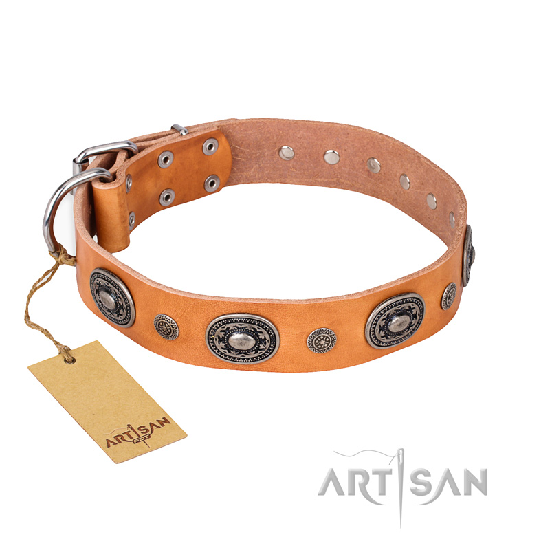 'Twinkle Twinkle' FDT Artisan Incredible Studded Tan Leather Pitbull Collar with Silver-Like Circles