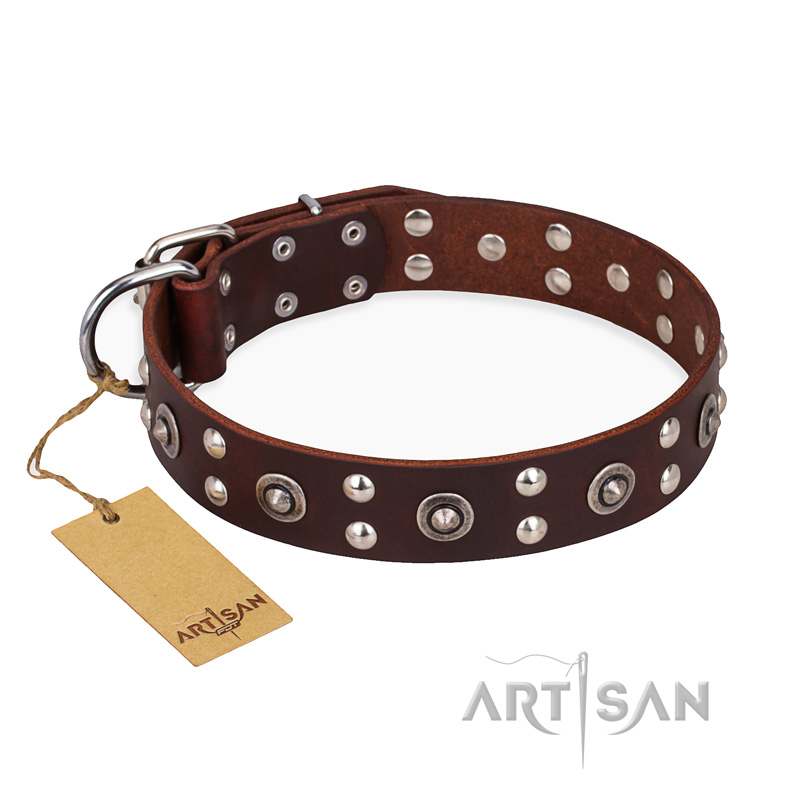 'Pirate Treasure' FDT Artisan Exciting Brown Leather Pitbull Dog Collar with Studs